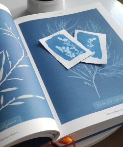 Read more about the article „Cyjanotypia: Niebieska Historia i Zabawa z Chemikaliami”