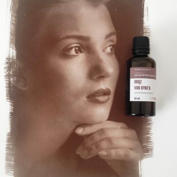 Brąz Van Dyke 50 ml + utrwalacz na 1 l — zestaw